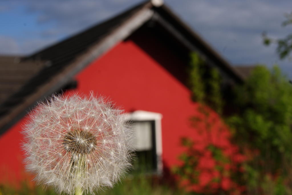 Landhotel Berggaststaette Bickenriede Anrode Bagian luar foto